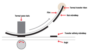 termal transfer ribon